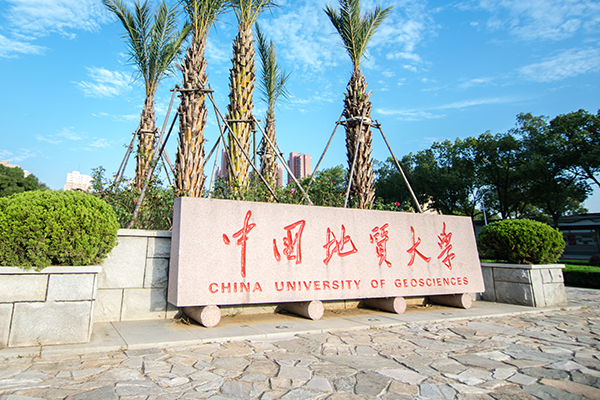 發展戰略